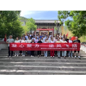 重药控股山西康美徕医药有限公司临汾分公司“凝心聚力 逆风飞扬