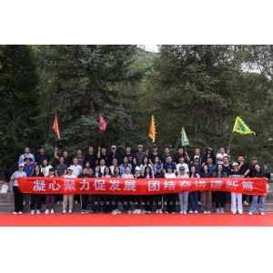 凝心聚力促发展 团结奋进谱新篇